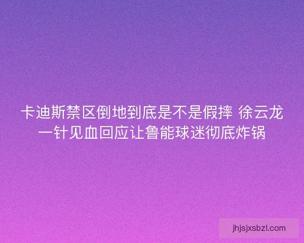 卡迪斯禁区倒地到底是不是假摔 徐云龙一针见血回应让鲁能球迷彻底炸锅